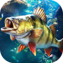 女子微信辱骂他人被多人围殴成脑震荡